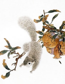 Eichhörnchen